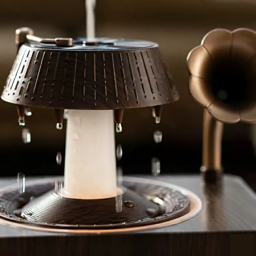 Humidificador de Vinilo Retro